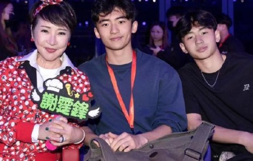 网友如何评价张柏芝离婚后维系祖孙关系？