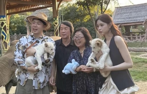 杜海涛为沈梦辰庆生的无人机表演具体是什么样子的？|无人机烟花秀|夜空|细节|烟花|公主