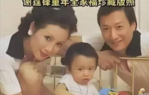谢霆锋在父亲谢贤离世后如何调整工作安排？