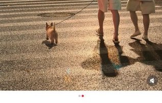 网友怎么看黄景瑜荧幕和生活的反差魅力？