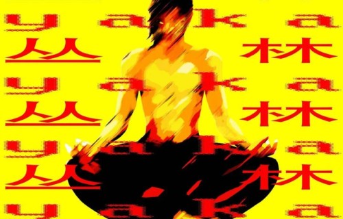 官宣｜JUNGLE+TOUR｜YAKA2026个人巡演