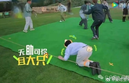 陈星旭因何决定参加《地球超新鲜2》？