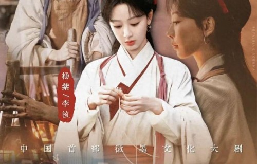 《家业》褒贬两极：杨紫被大女主绑死？