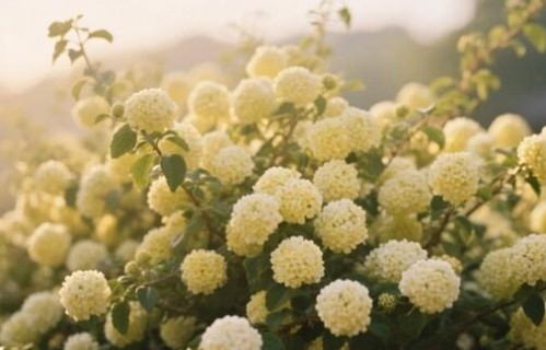 女人最大的底气：不是颜值，不是婚姻，是这刻在骨子里的踏实