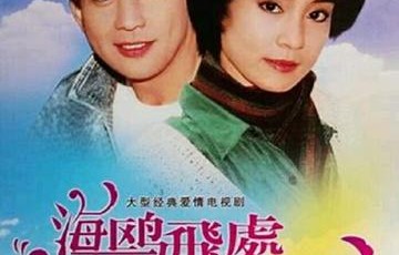 海鸥飞处彩云飞-快懂百科