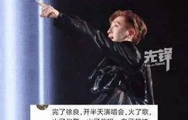 花几百块看徐良演唱会，最后全网都在刷伴舞小哥！煜宸爆火背后