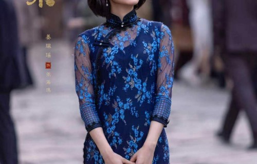 姜佩瑶张海琪南部档案馆严母形象引热议