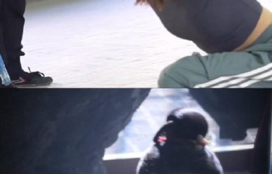 剧组为什么坚持用真蛇而不是特效？