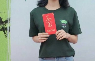 《一念江南》的剧情梗概是什么？