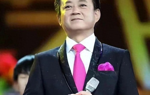 8年终尘埃落定，如今62岁两鬓斑白朱军，才亲眼看到女方付出代价