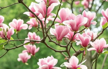 男人吸引女人往往有以下几个点，如果这三个都不具备，有情有义也行！