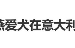 霍思燕爱犬在意大利夺冠，发文报喜：“霍蜜蜡”小姐得了第一名