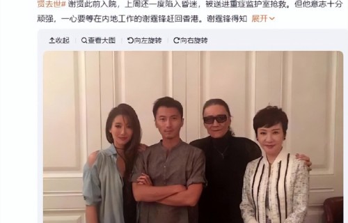 谢贤昏迷进ICU抢救，靠意念强撑到谢霆锋返港见最后一面|香港特别行政区|父亲|王晶|儿子|父子