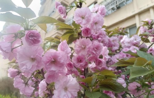 人这一辈子，能遇到一个异性知己，是件可遇不可求的稀罕事