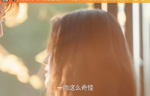胡杏儿为何在张凌赫微博下发“免责声明”