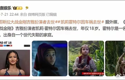 18岁凯莉霍特尔车祸离世，曾凭手语与金刚结缘，人生骤然落幕