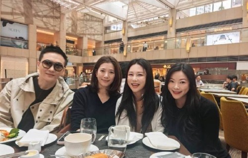 袁咏仪与张智霖的婚姻生活被称为什么模范夫妻？