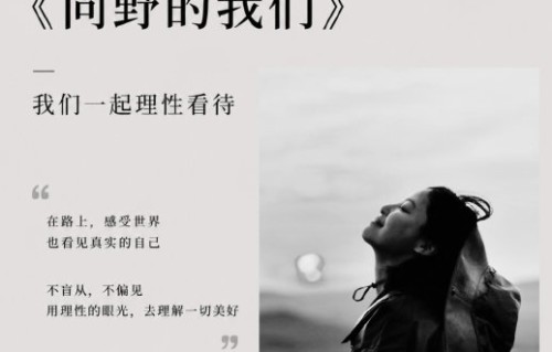 辛芷蕾近期有哪些新作品上映？