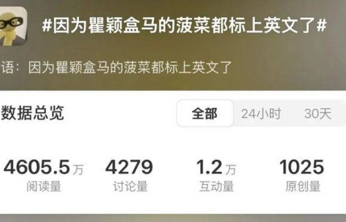 把沉寂10年的老派女神炸成顶流,这内娱清流节目就该爆