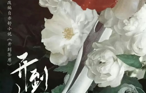 【大剧汇】白鹿×彭冠英《开到荼蘼》，白鹿演艺生涯颠覆性转型 ！