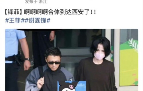 王菲谢霆锋十指紧扣好甜 绕道千里深情奔赴_中华网