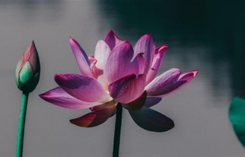 中年之后，越来越有福气的活法：和3种人保持距离