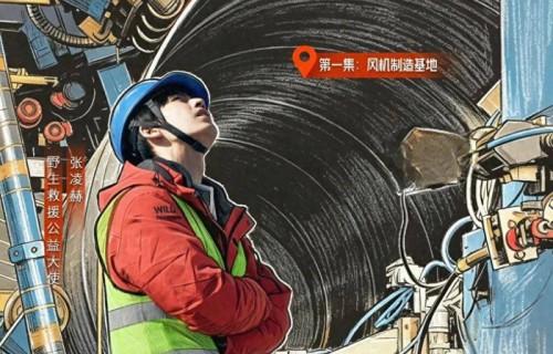 别骂流量了，看看张凌赫在做什么