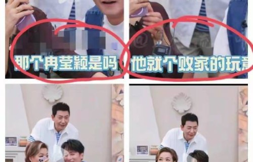 那英没忍住又闯祸赶紧喊剪掉 冉莹颖被怼败家玩意视频已删除 _ 游民星空 GamerSky.com