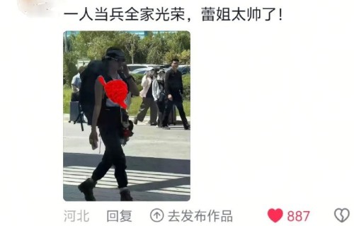 辛芷蕾在电视剧《带着爸爸去留学》中饰演的“林飒”有哪些经典台词？