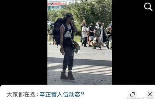 辛芷蕾在《向野的我们》综艺中的表现如何？