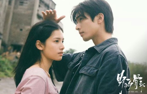 张婧仪如何评价宋威龙在片场的责任心？