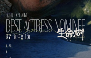 杨紫为何被称为白玉兰史上提名次数最多的女演员？