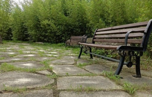 一个奇怪的社会现象，凡是有退休金的老人，都不愿意和儿女住一起