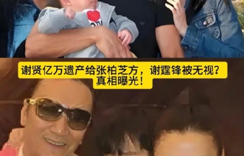 谢贤为何将九成遗产留给孙子并由张柏芝代管？