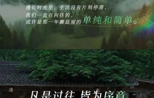 《向往8》重磅回归！白月光回国治愈感拉满