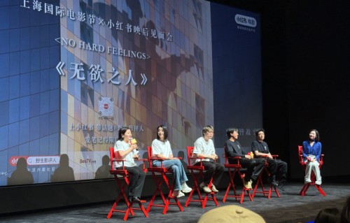王菊未来还有哪些影视作品计划？