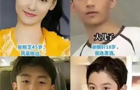 张柏芝大儿子紧急返港，陪爷爷谢贤走完最后一程