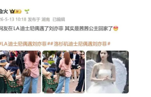 刘亦菲迪士尼被偶遇皮肤白到发光，网友笑称公主回家了