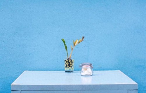 张凯丽：让微短剧的大流量成为正能量，传递时代温度