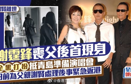 谢霆锋父亲去世后演唱会为何坚持不取消？