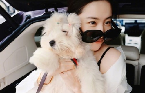 刘亦菲是如何收养小太初的？