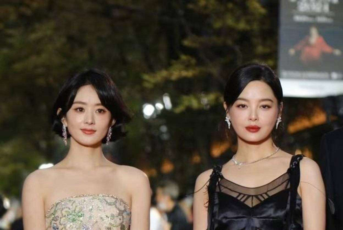  赵丽颖与辛芷蕾，就如同华语影视圈的两棵大树。赵丽颖那棵扎根大众土壤、枝繁叶茂的大树，依靠《风吹半夏》《知否知否》等多个角色陪伴观众成长；而辛芷蕾的树则深根细作，向艺术的核心发力，通过《日挂中天》《繁花》等作品拓展了行业的边界。前者的双料视后证明了她在国民中的认可度，而后者的威尼斯影后则彰显了她在国际上的演技高度。在流量逐渐退潮、实力成为王道的今天，赵丽颖与辛芷蕾的并存恰恰证明了：女演员的价值从不单纯由外在标准来定义。无论是贴近生活的共情力，还是突破极限的爆发力，只要足够真诚与专业，她们都能在影视的长河中，留下各自独特的印记。