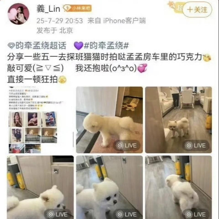 打开网易新闻 查看精彩图片